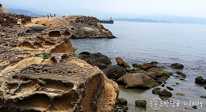 반달곰 지구여행 - 대만 타이페이 예류지질공원&#44; Yehliu Geopark
