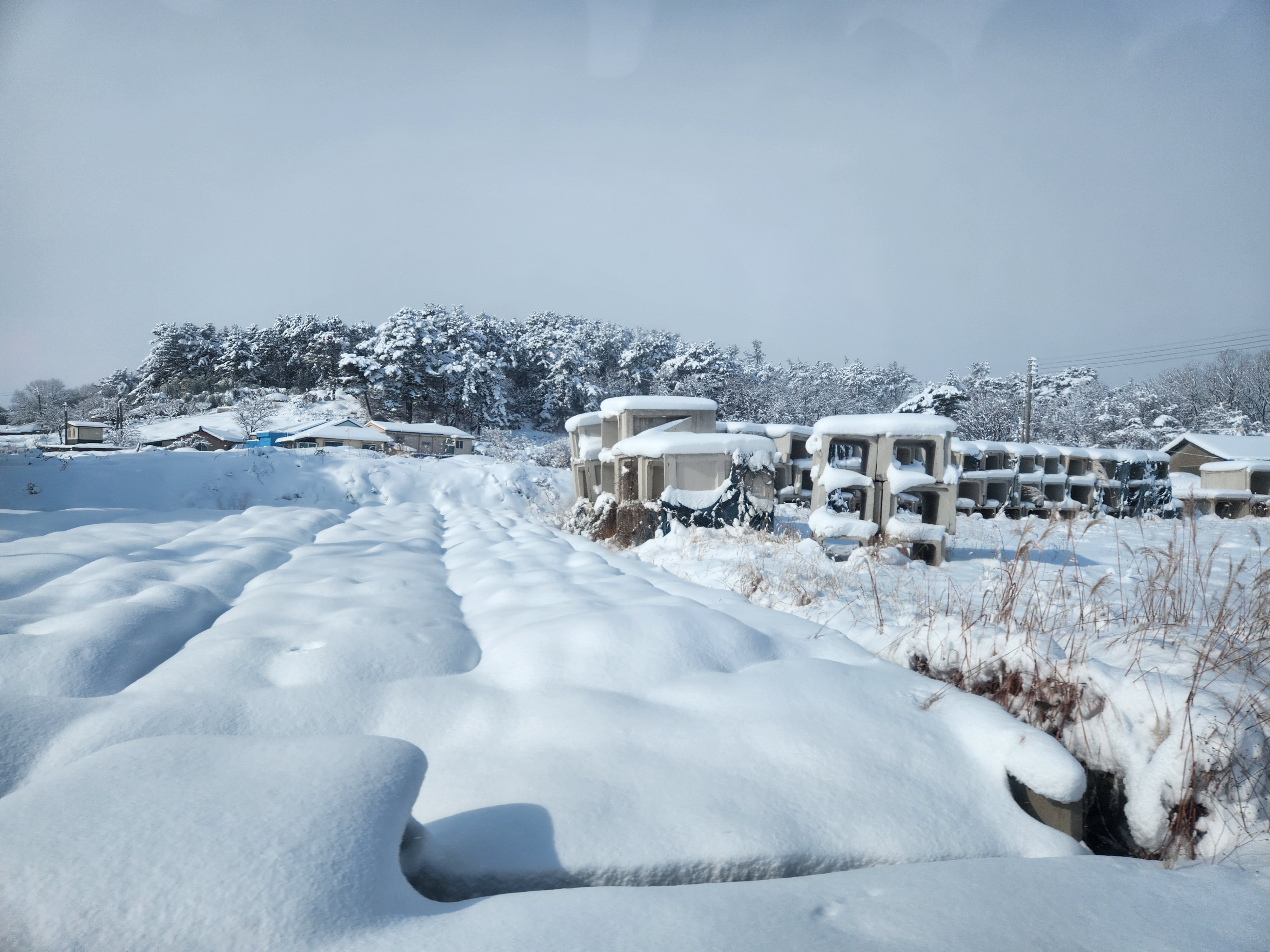 전라북도 지역에 눈이 많이 내린 이미지