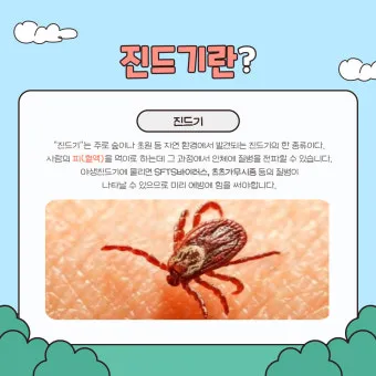 진드기 물린자국 대처법 참진드기 빨간 진드기 증상 확인_12
