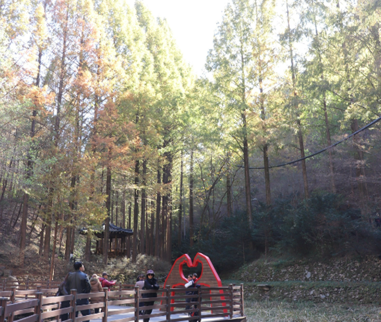 장태산 자연휴양림