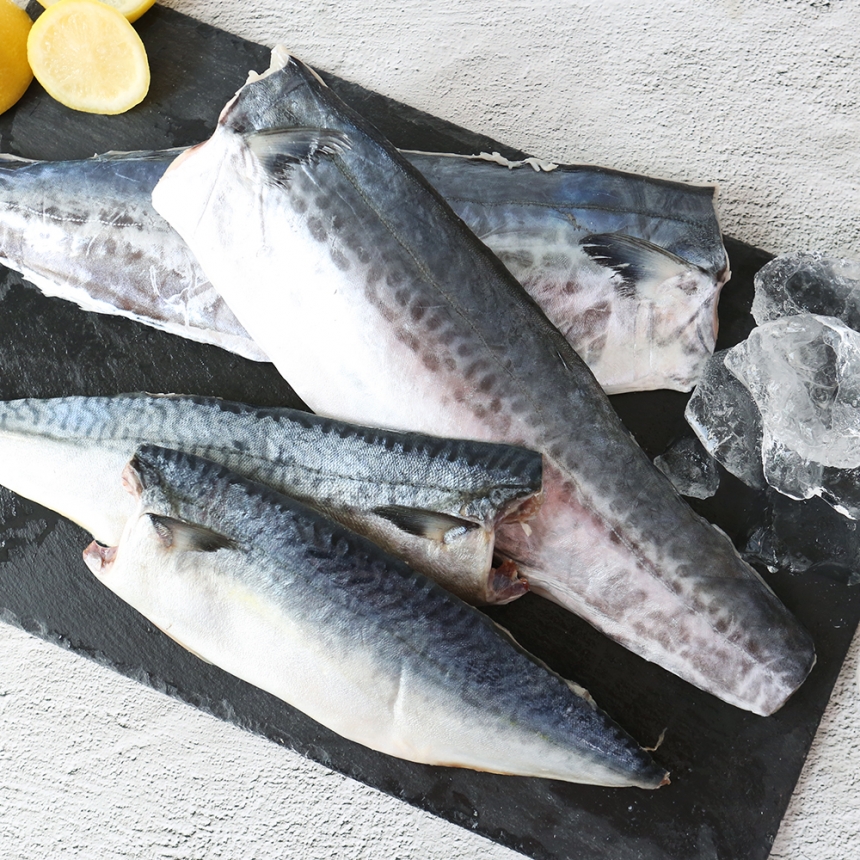 삼치의 효능 및 부작용