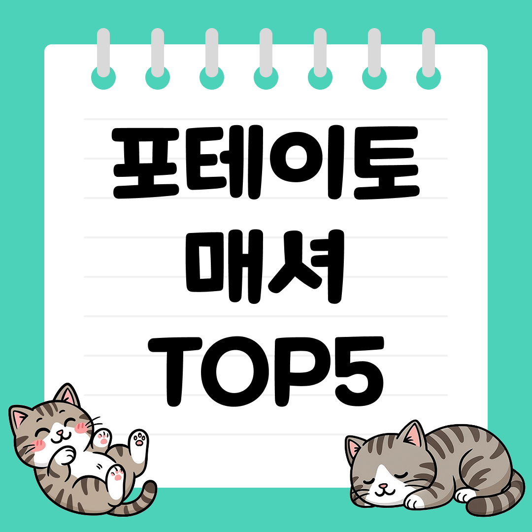 이유식&middot;샐러드 준비가 쉬워지는 포테이토 매셔 추천 TOP5
