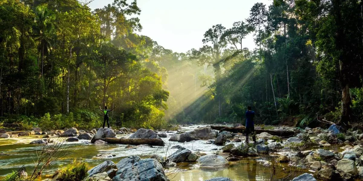 타만 네가라 국립공원 (Taman Negara National Park)
