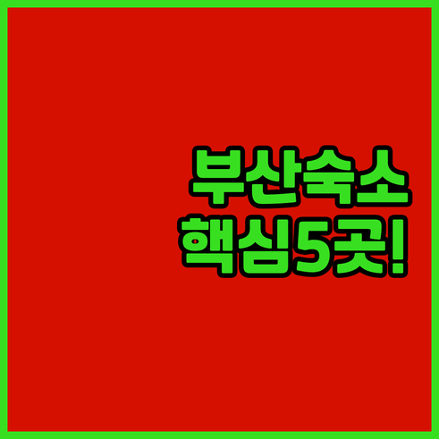 가성비 청결도 최고 부산 숙소 5곳 ..