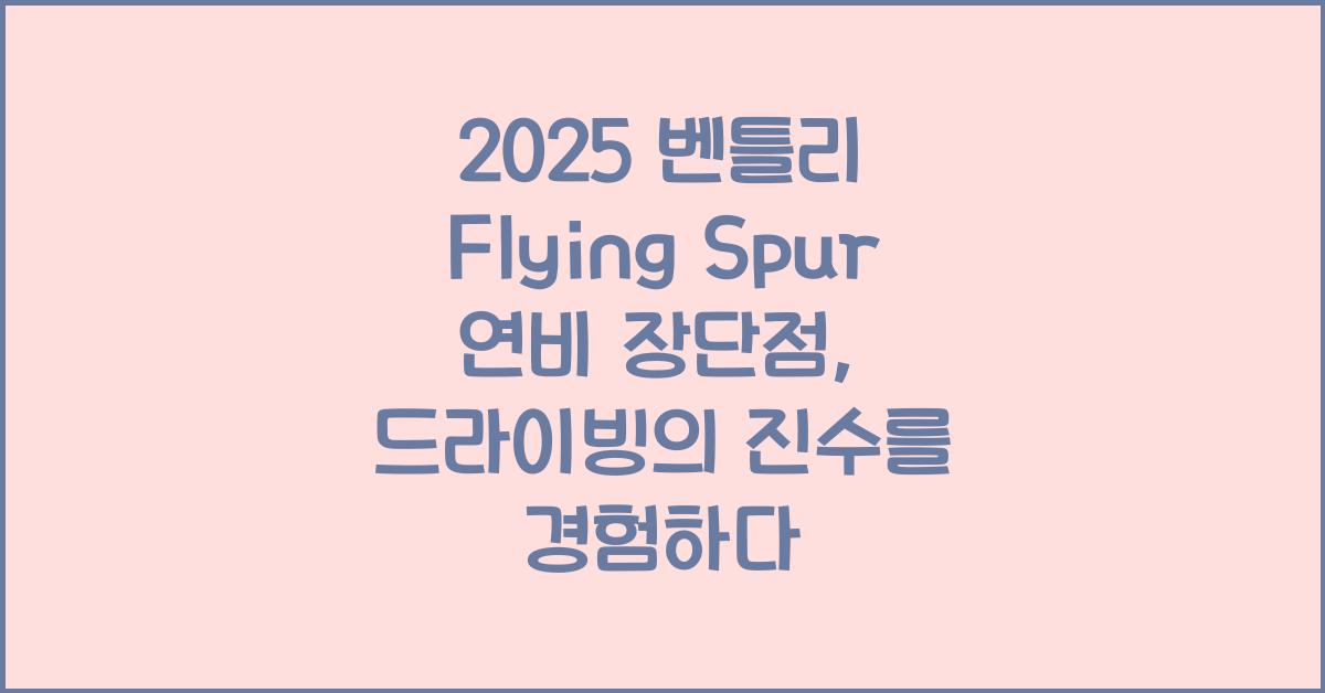2025 벤틀리 Flying Spur 연비 장단점