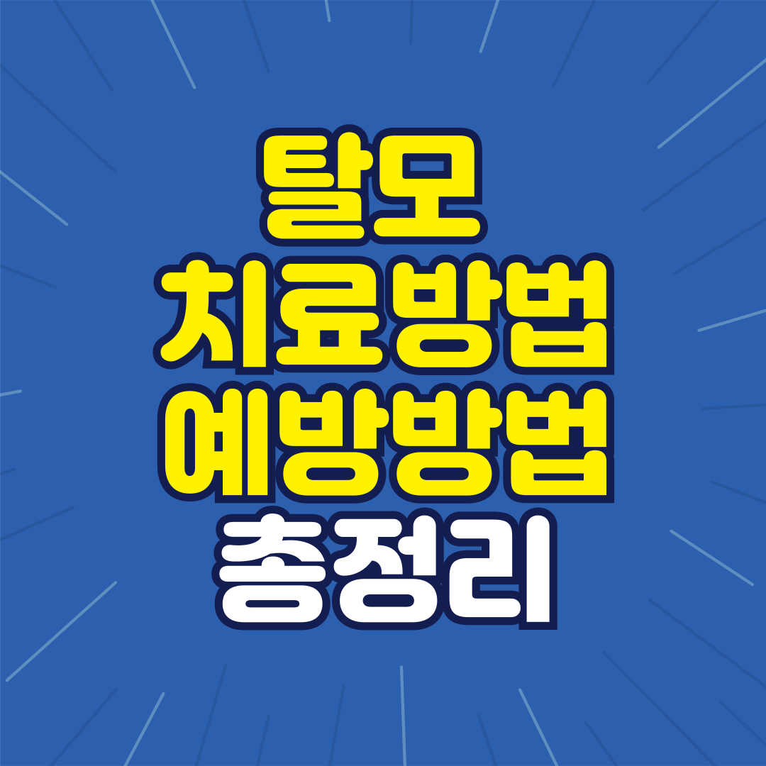 탈모 치료방법과 예방방법