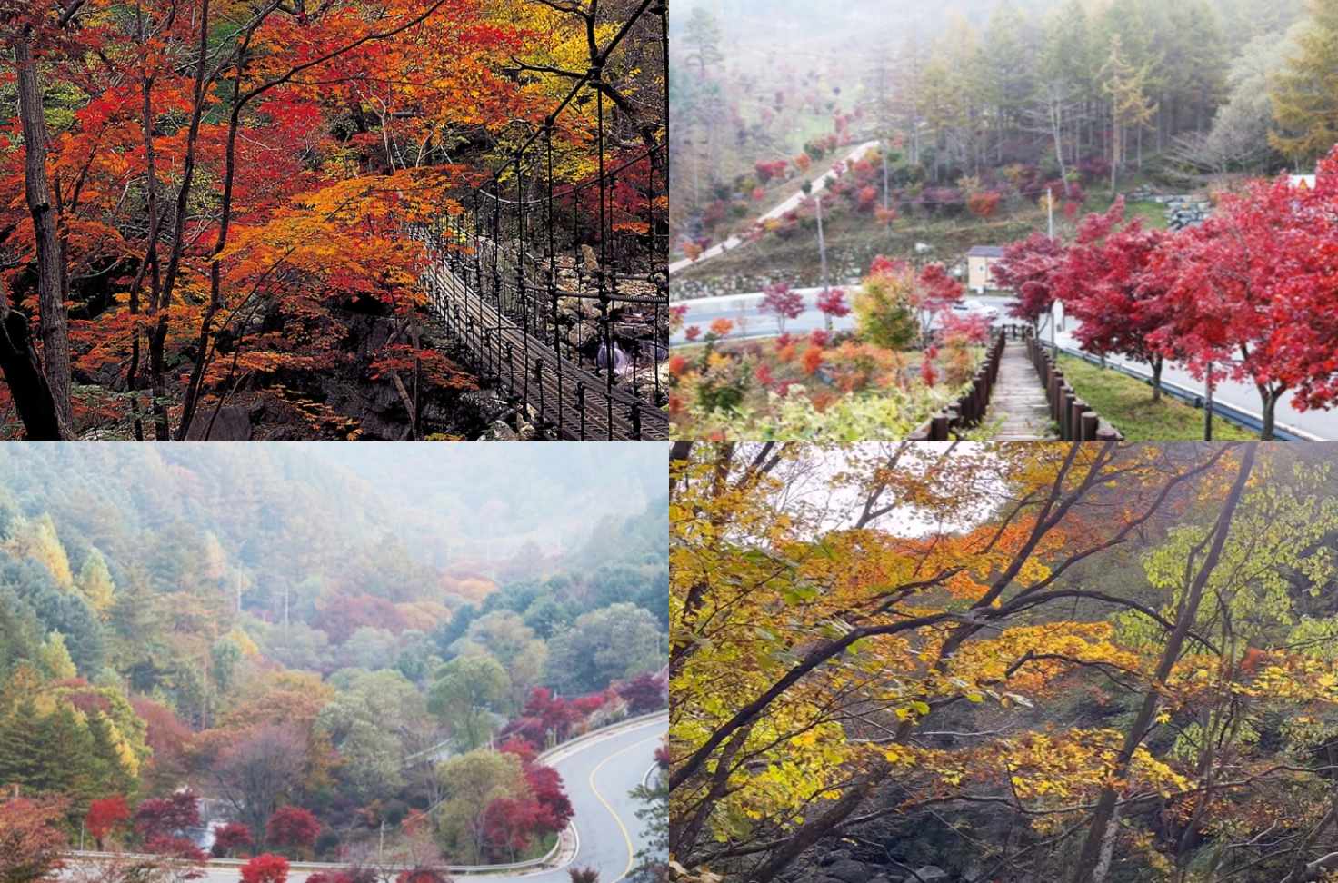 지리산 단풍 절정시기