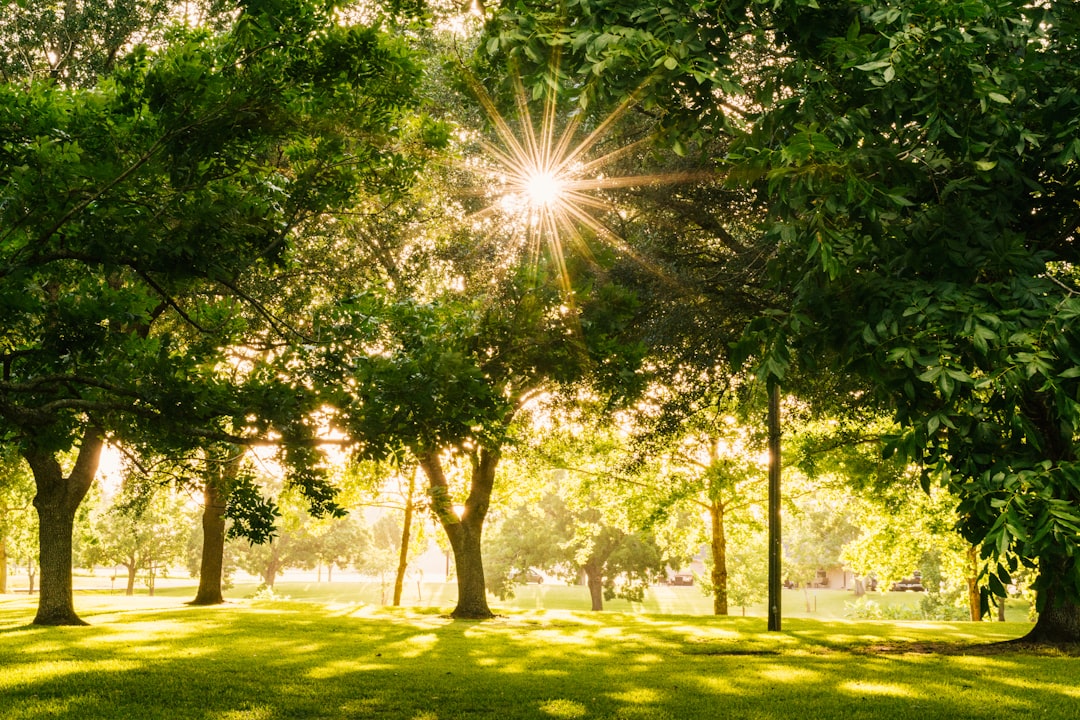 Park