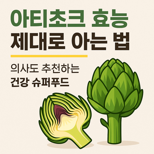 아티초크 효능 제대로 아는 법 | 의사도 추천하는 건강 슈퍼푸드