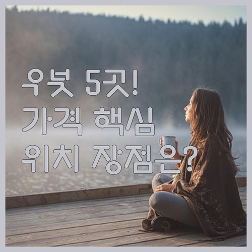 발리 우붓 숙소 5곳 가격대별 위치 ..
