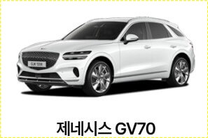 그랑 콜레오스 가격