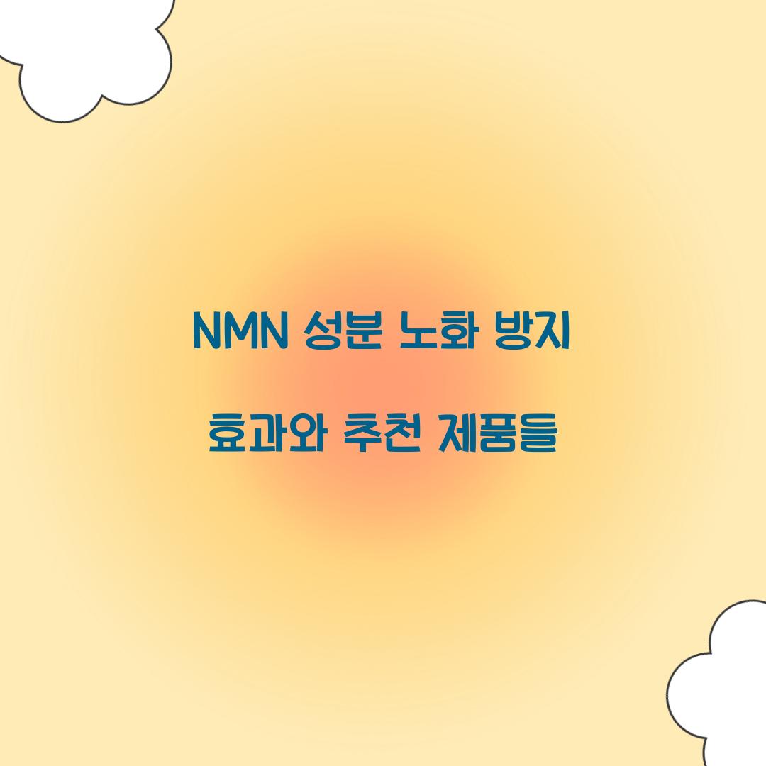 NMN 성분 노화 방지