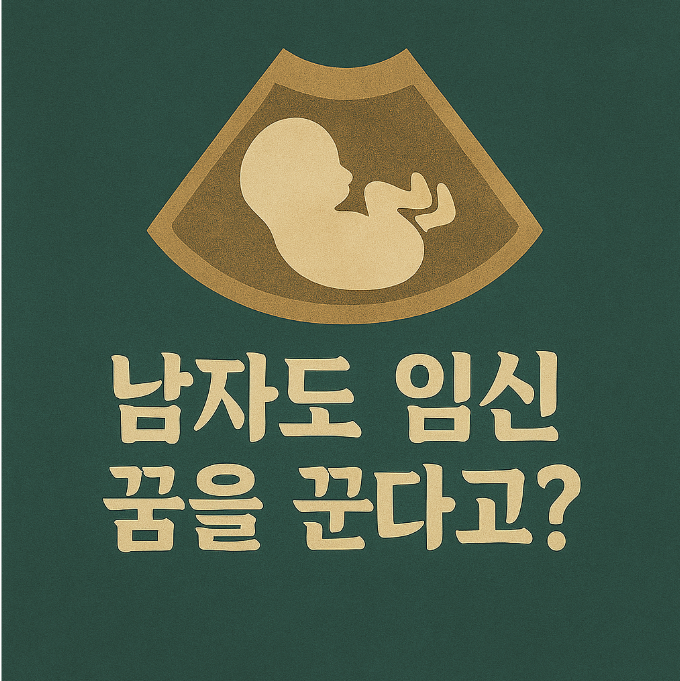 임신하는 꿈 해몽 - 남자도 꿀 수 있다?