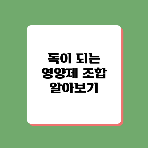 영양제 조합 추천