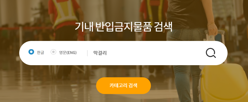 기내반입물품검색사이트