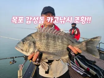 낚시 초보 탈출 감성돔 감칠맛 나는 회 손질 요령_10