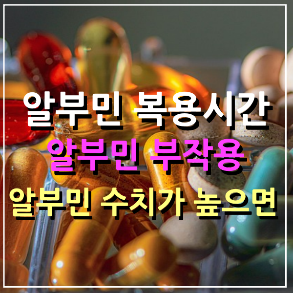 알부민복용시간