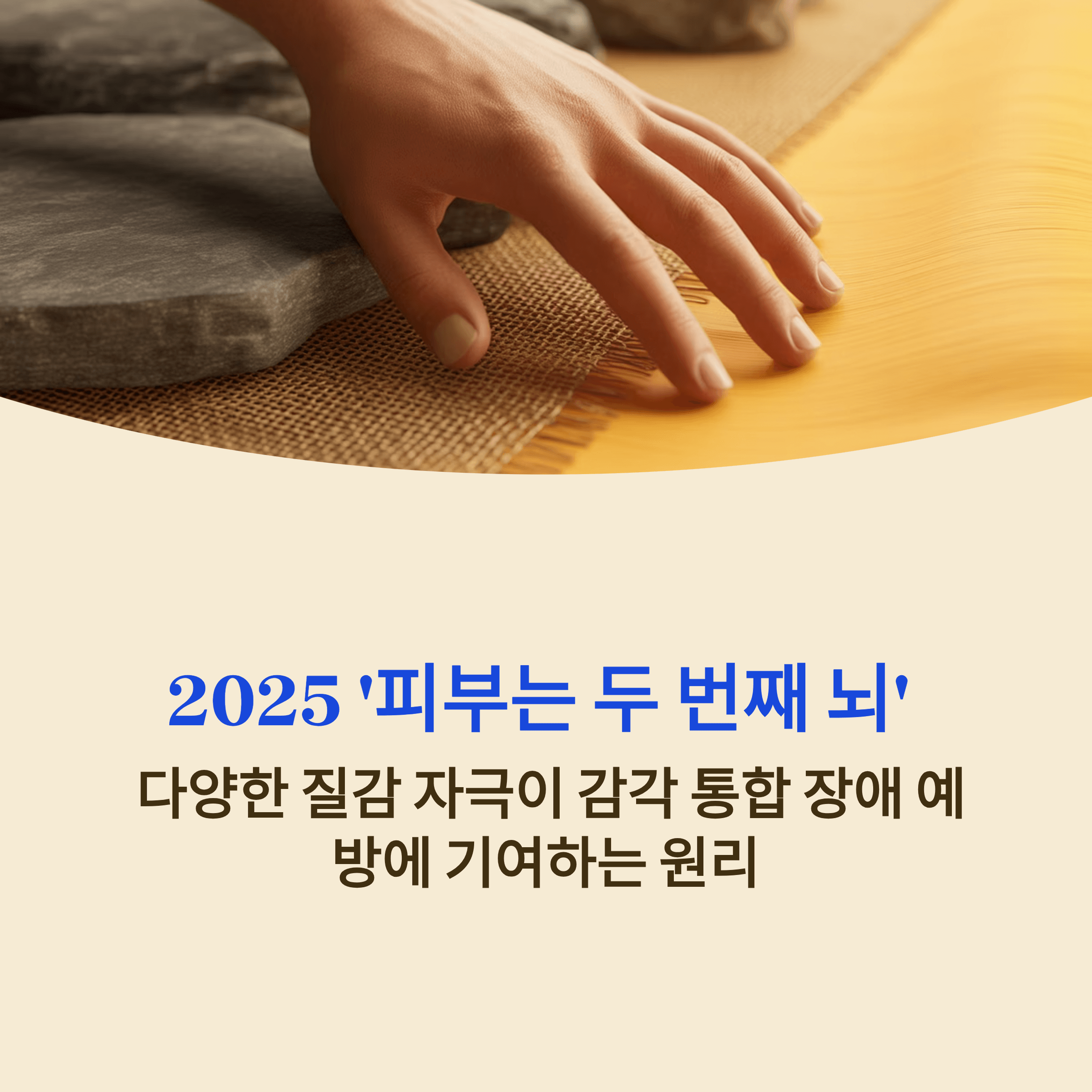 2025 '피부는 두 번째 뇌'