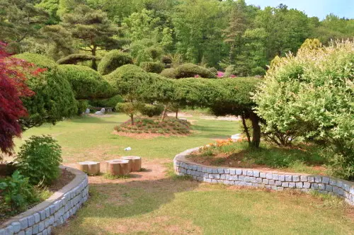 무(無)더위 여행! 이번 주 제철 농산물 체험 농촌 예술 테마 식물원 추천