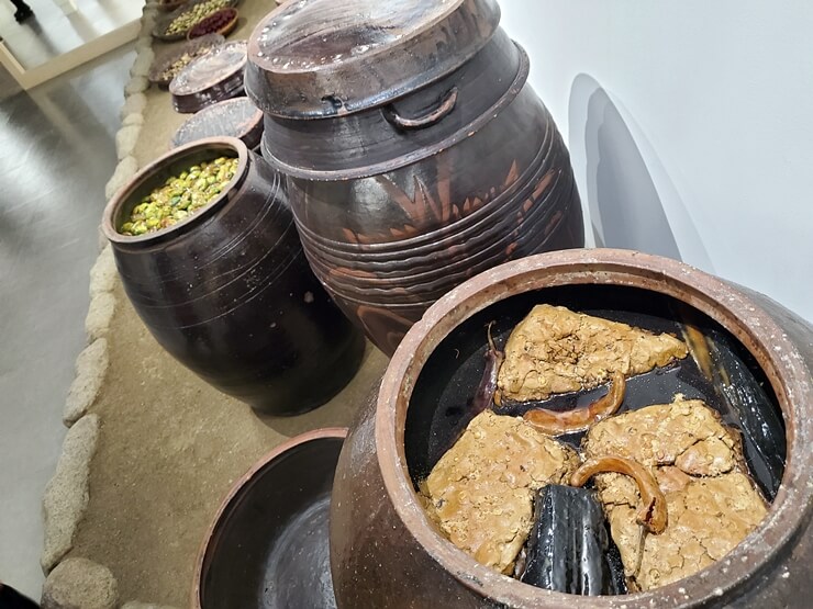 국립농업박물관 된장모형