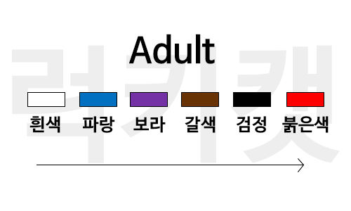 주짓수 벨트 등급 순서