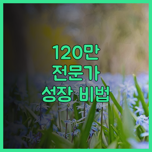 숏폼 영상 편집, 120만 팔로워가 