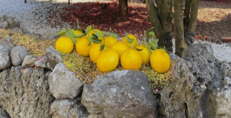 제주도 가볼만한곳 10곳 여행 꿀팁