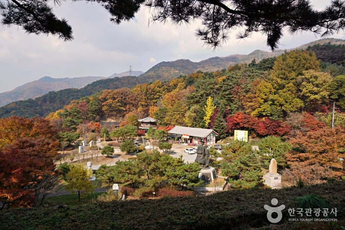 제천 가볼만한 곳