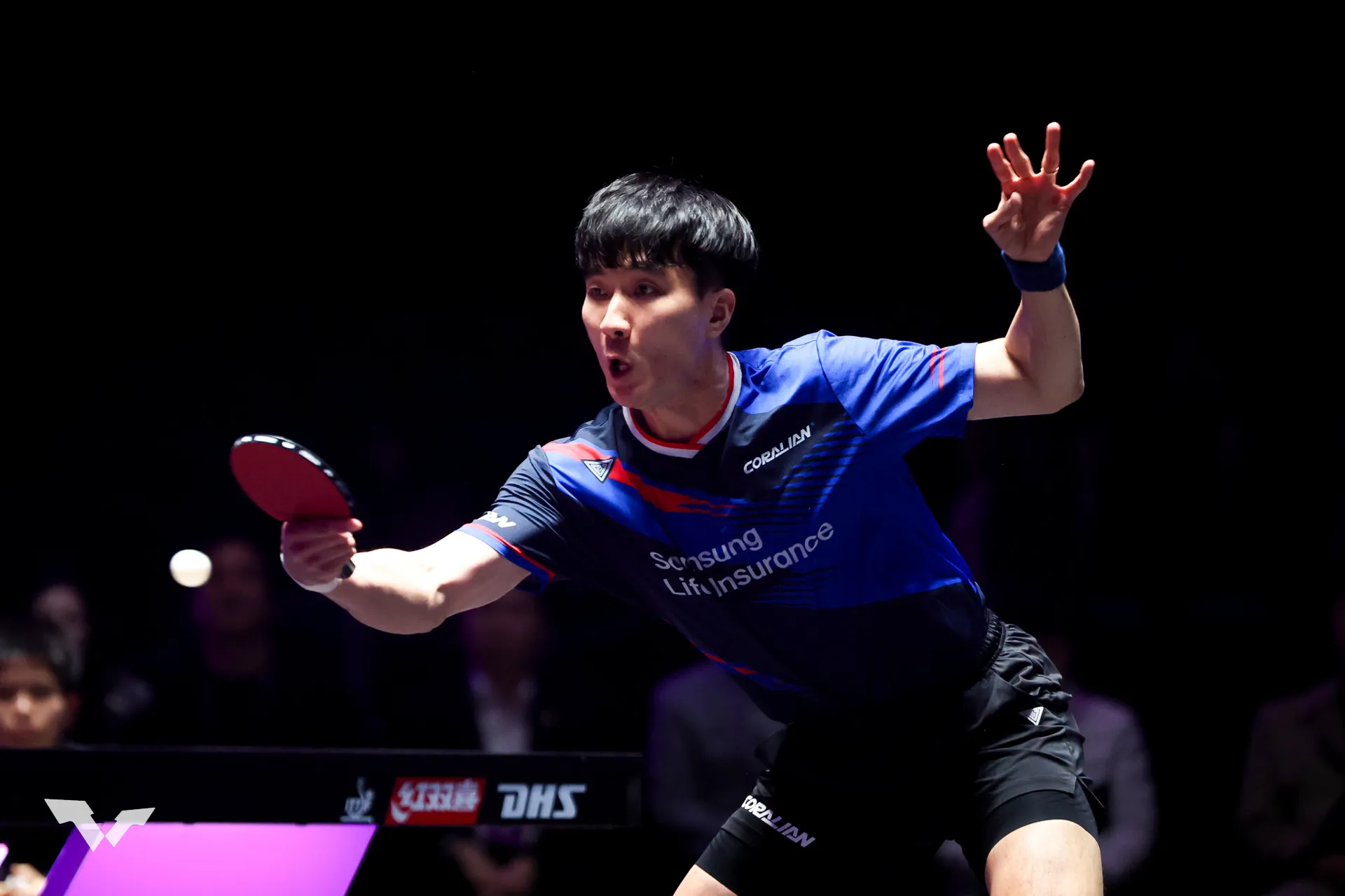 탁구 이상수 WTT 챔피언스 인천 2025 준우승! - 결승 결과&middot;상금&middot;한국 선수 성적 정리! [하이라이트 영상]