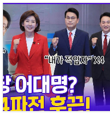 국민의힘