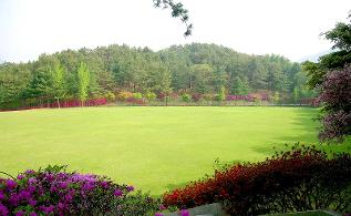 청남대 봄꽃축제 영춘제