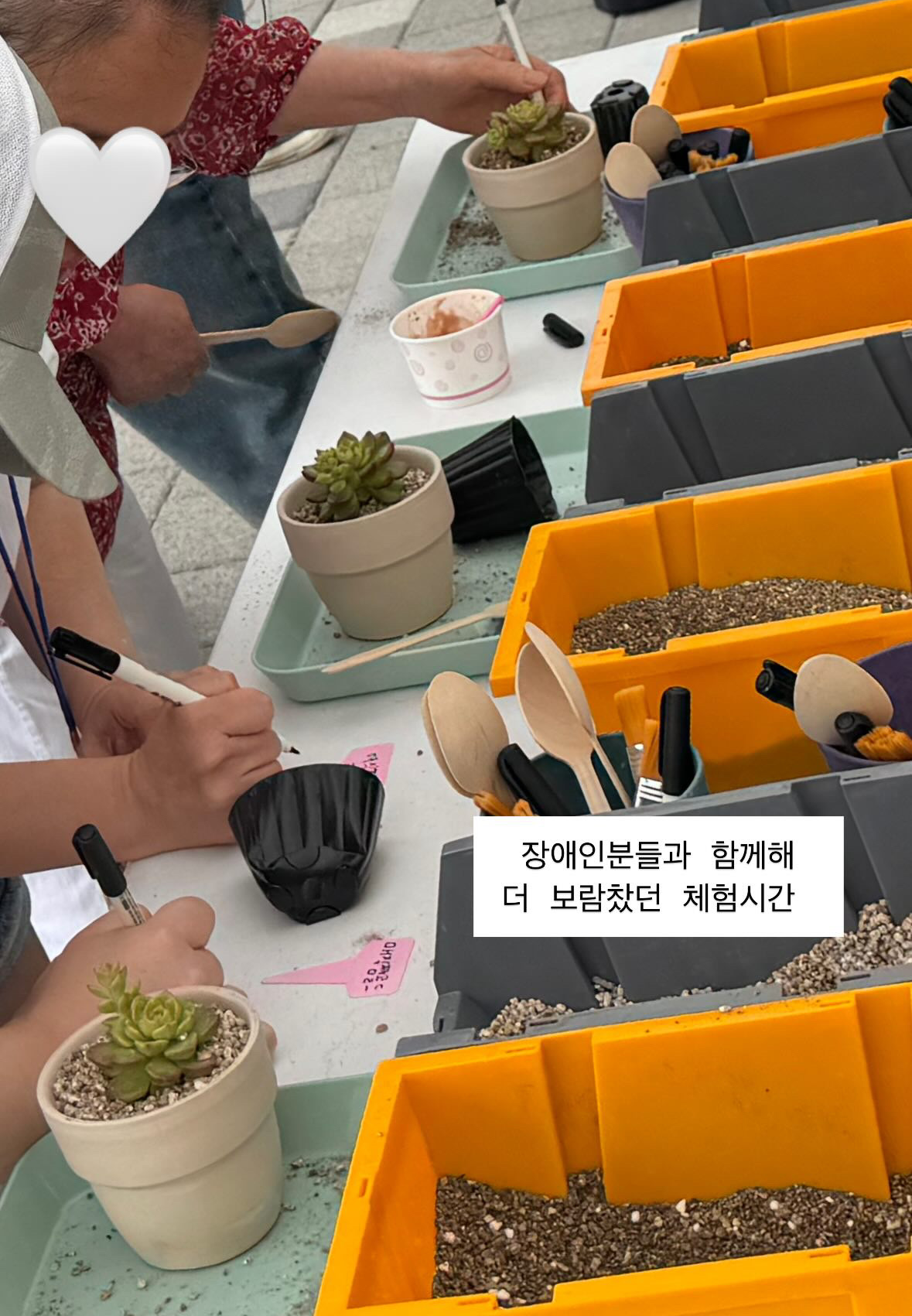 안양 만안구 테라리움 만들기
