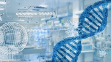 제약 바이오 관련주 대장주