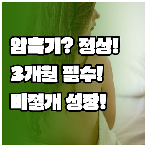 비절개 모발이식 암흑기 3개월 정상 ..