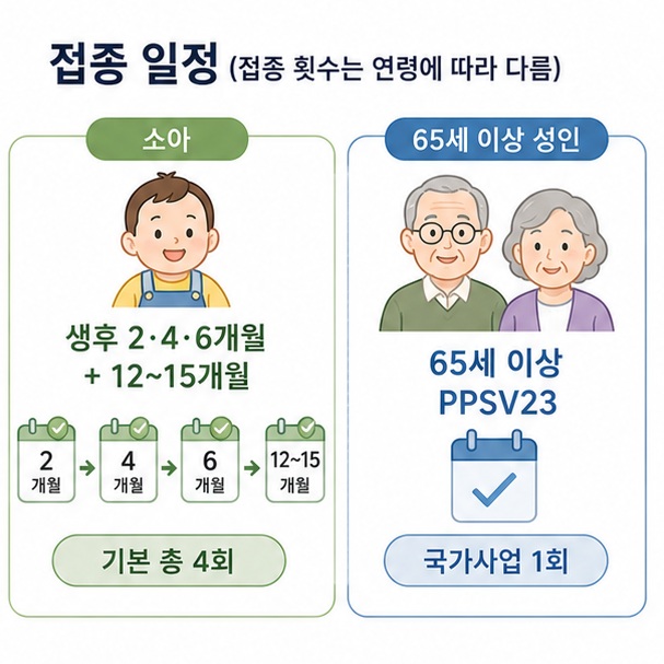 소아는 생후 2·4·6개월과 12~15개월에 기본 4회, 65세 이상은 국가사업 PPSV23 1회로 접종 횟수를 비교한 이미지
