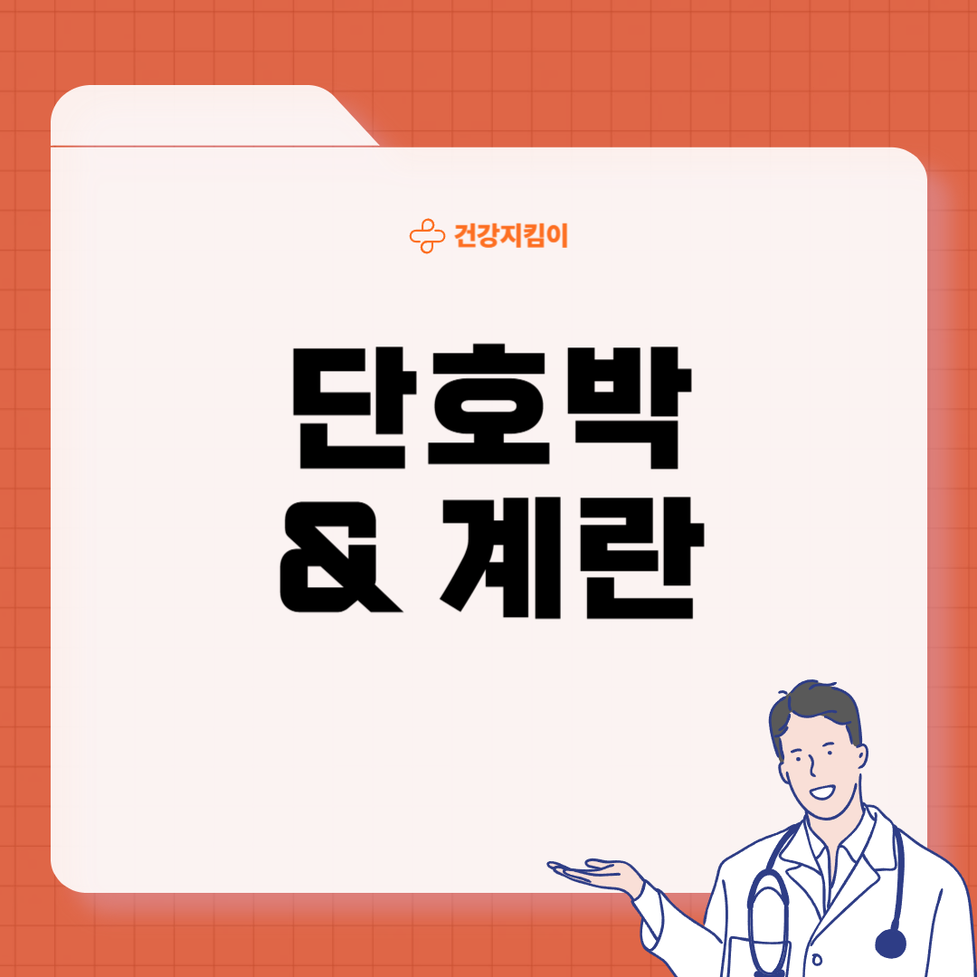 다이어트 식단 추천 레시피 요리