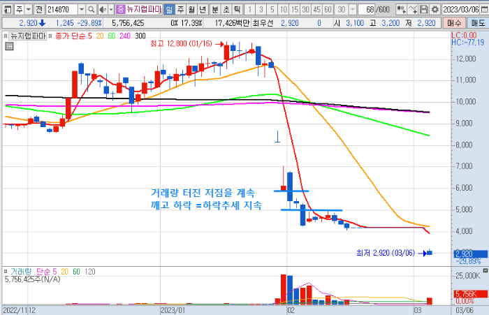 3월 6일 뉴지랩파마 일봉 차트