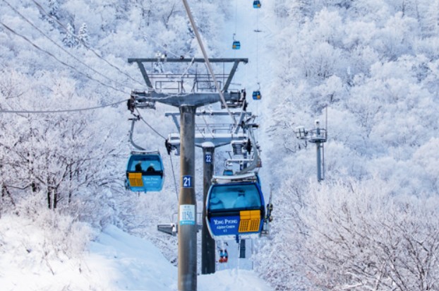 발왕산 케이블카 예약 및 시간 요금할인