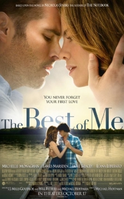 영화 베스트 오브 미 관련 사진