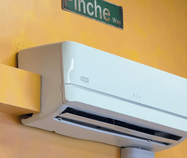 여름 면역력 비상! 냉방병 극복 필수 영양제