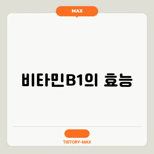 비타민B1의 효능