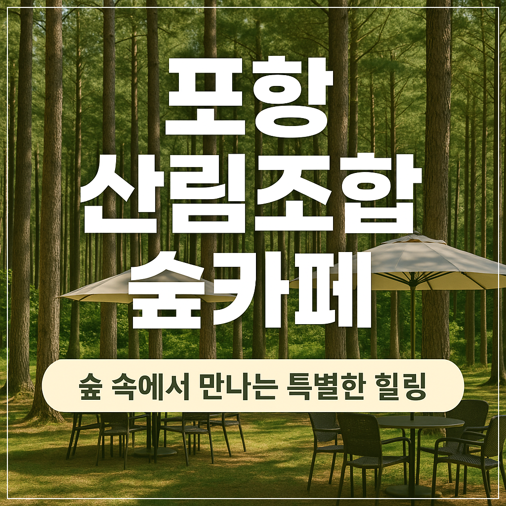 포항 산림조합 숲카페 방문 후기