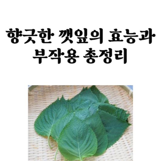 향긋한 깻잎의 효능과 부작용