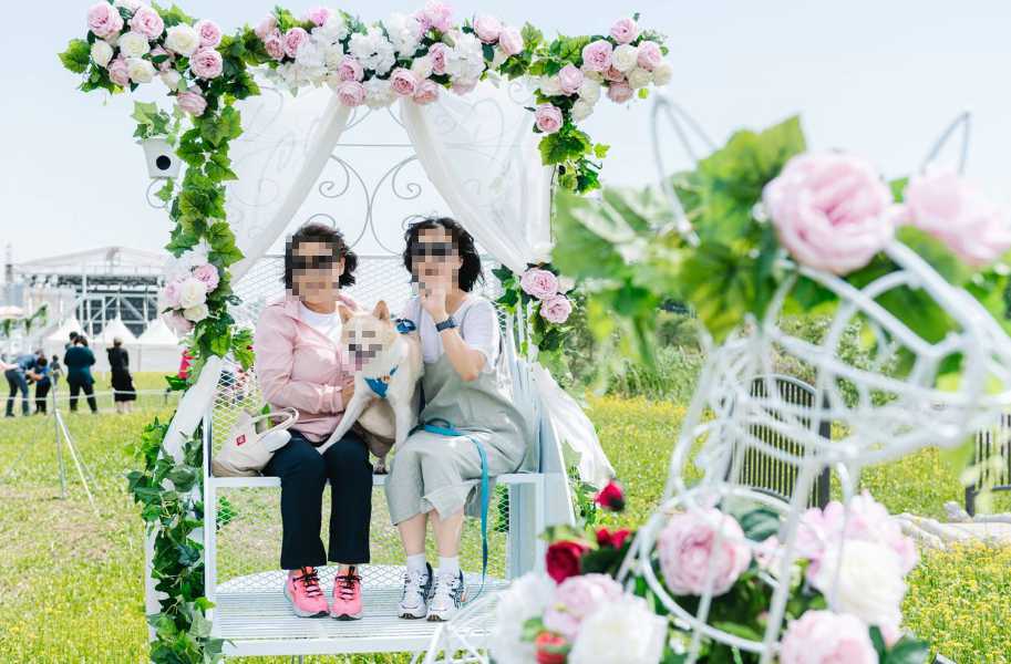 서울 중랑 장미공원