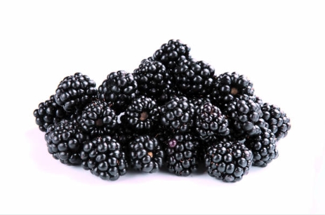 복분자란 어떤 열매일까?