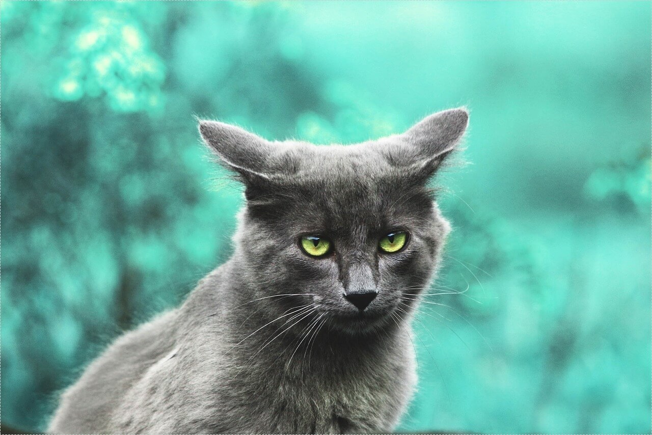 무인카페 창업비용