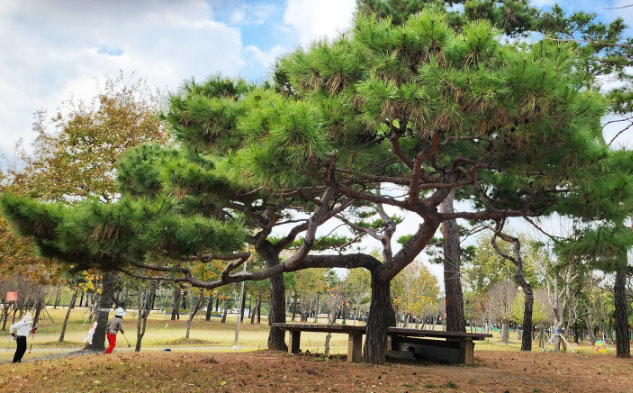 당진시 상록수파크골프장 소개