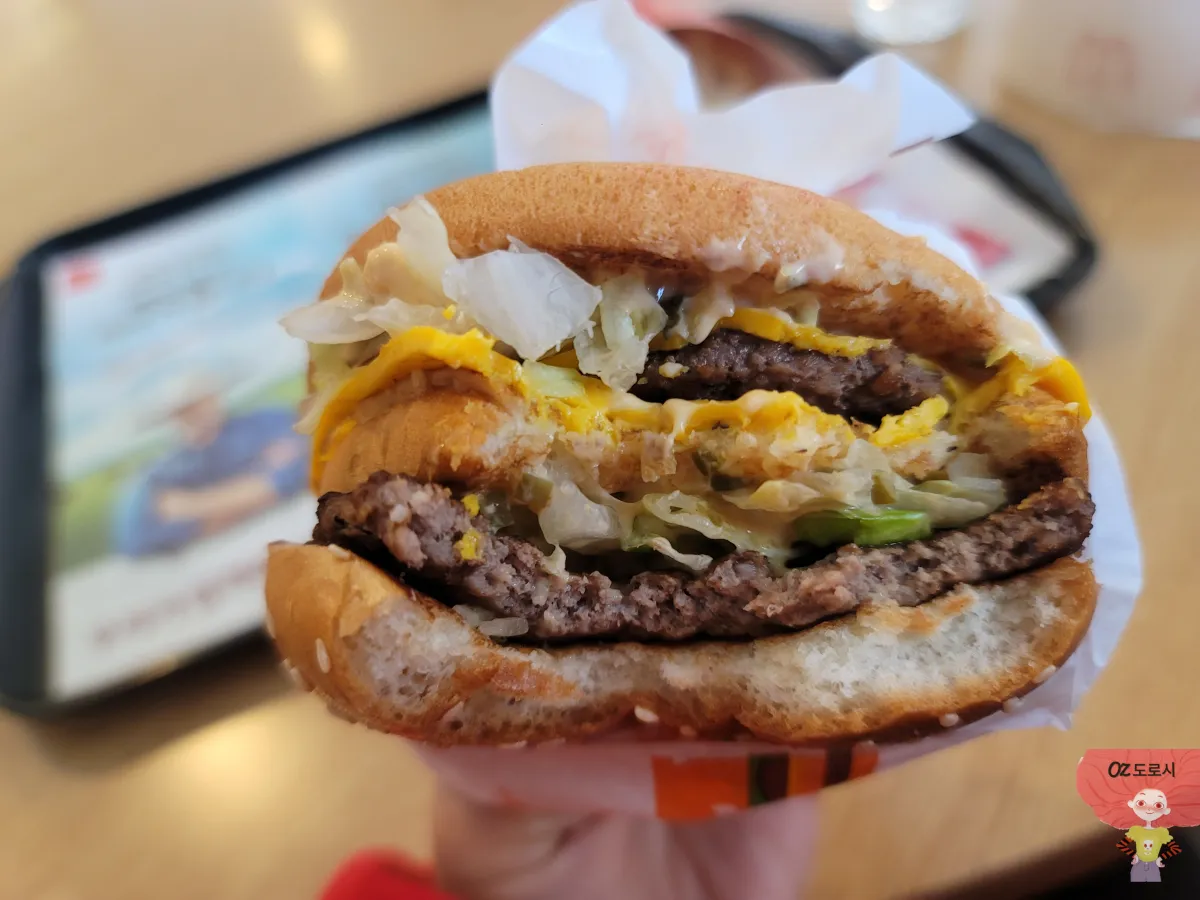 한입-두입-먹다찍은-빅맥사진