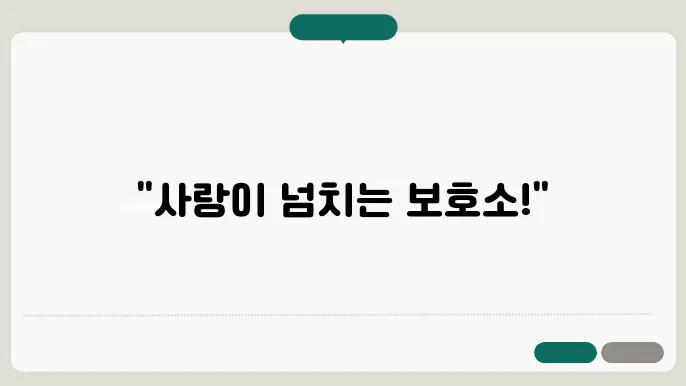 화성강아지보호소 컴투펫위탁보호센터