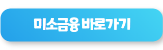 정부 지원 대출 미소금융
